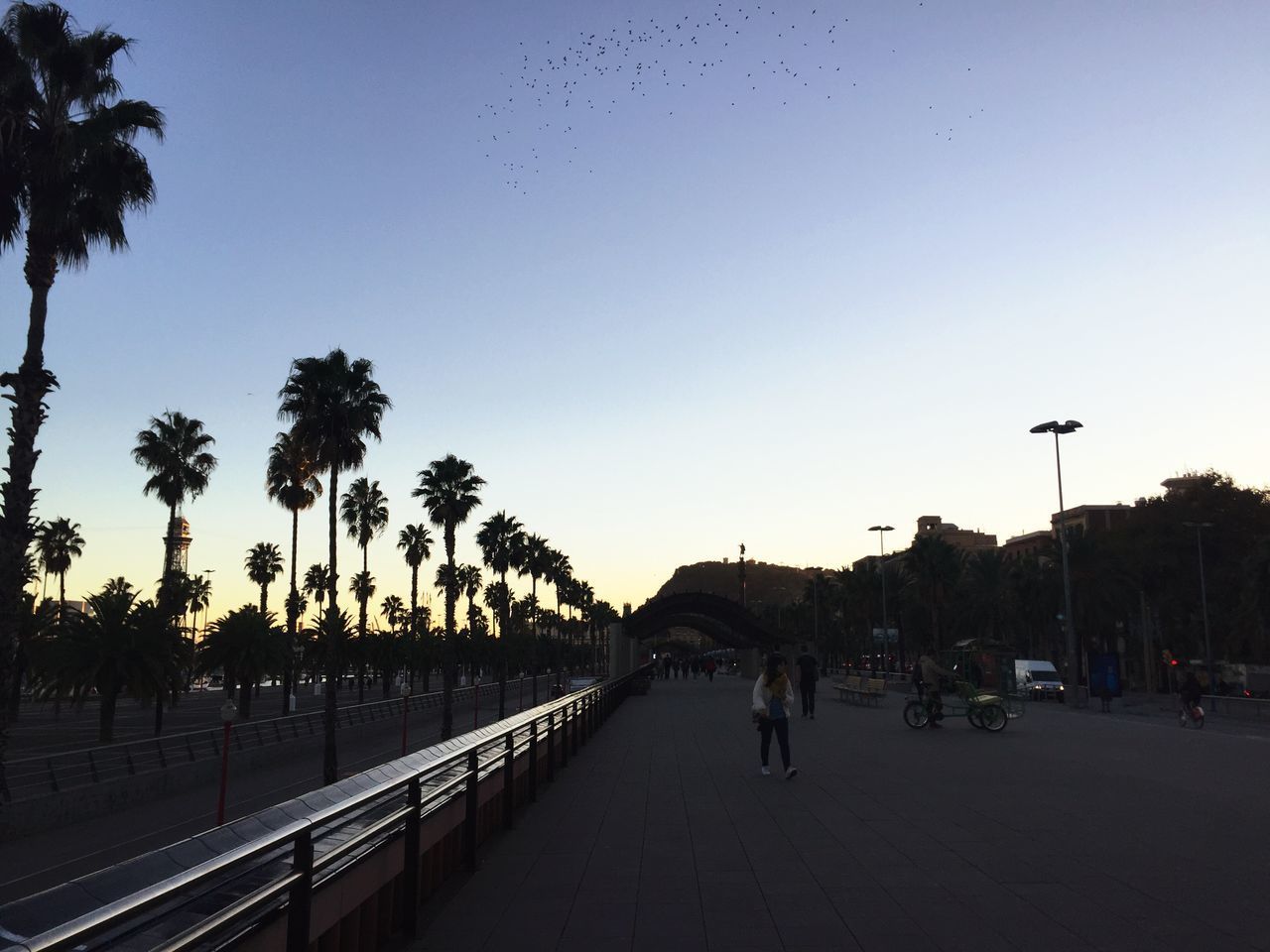 PEOPLE WALKING ON ROAD AGAINST CLEAR SKY