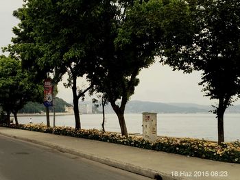 Reflection of trees in water