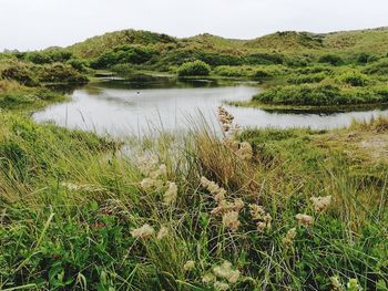 Scenic view of lake against sky