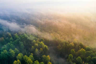 High angle view of trees against sky