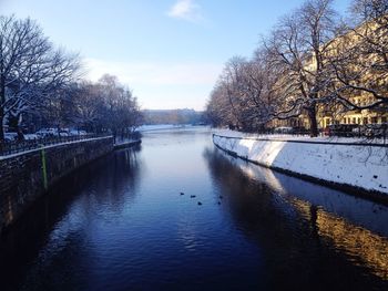 View of canal along trees