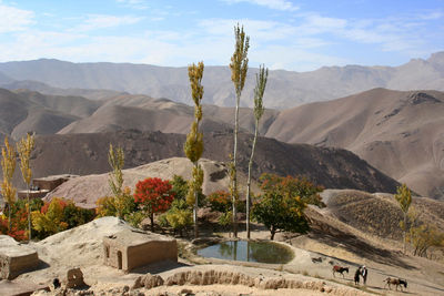 Plants on landscape against mountain range