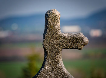 Close-up of sculpture on tree trunk