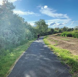 Rear view of person walking on road against sky