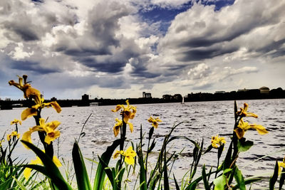 Scenic view of lake against sky