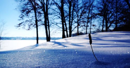 Silhouette trees on snow covered field against sky