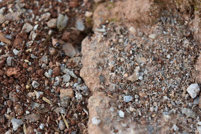 Full frame shot of rocks on field