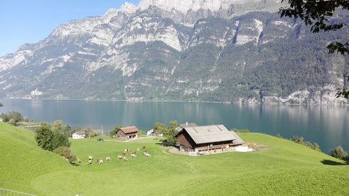 Scenic view of lake against mountains