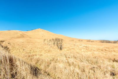 Scenic view of field against clear blue sky