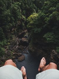 Low section of person over river in forest