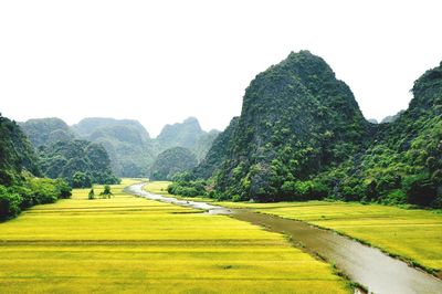 Scenic view of landscape against clear sky