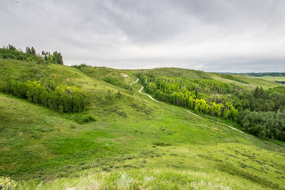 Scenic view of green landscape against sky