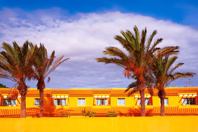 Traditional architecture and tropical palm. travel in details. canary island