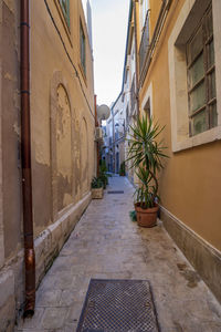 Typical small street on the island of ortigia, syracuse in sicily, italy