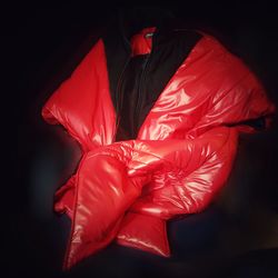 Close up of red flowers