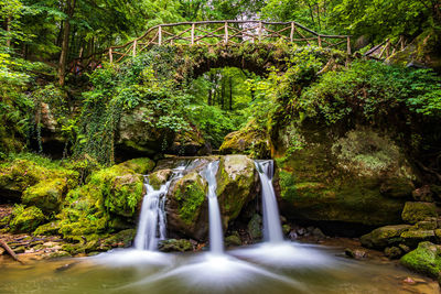 Low angle view of waterfall in forest