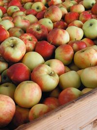 High angle view of apples for sale at market stall