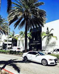 Cars parked at roadside