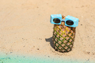 Sunglasses and pineapple on sandy beach