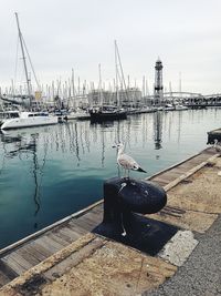 Ship moored at harbor against sky