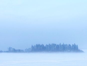 Trees on snow covered field against clear sky