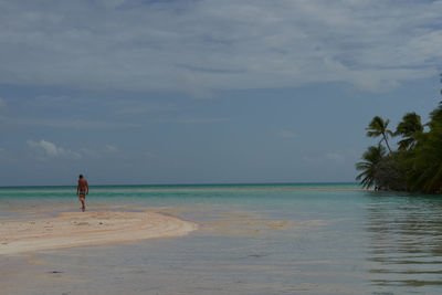 Rear view of man walking on beach against sky