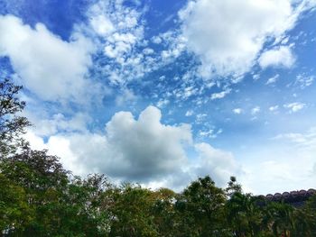 Low angle view of trees against sky