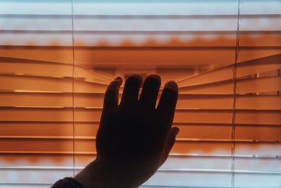 Close-up of human hand against window