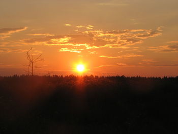 Silhouette trees on field against sky during sunset