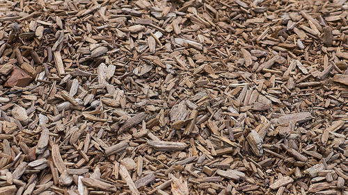 Full frame shot of wood chips