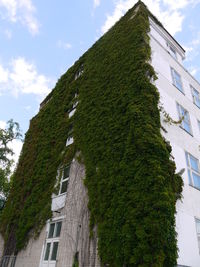 Low angle view of building against sky