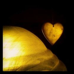 Close-up of yellow flower