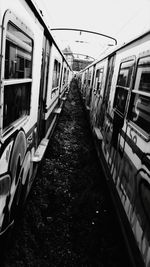 Train on railroad tracks