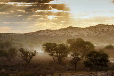 Scenic view of landscape against sky during sunset