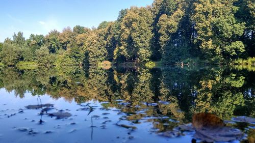 Scenic view of lake in forest against sky