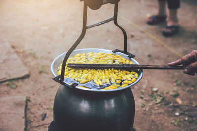 High angle view of man holding food