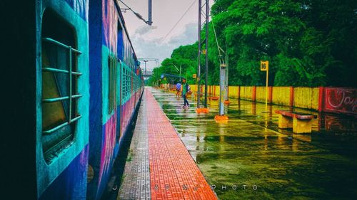 Man on wet road amidst trees against sky