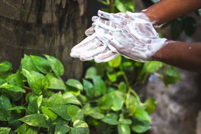 Close-up of hand holding plant