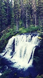 Waterfall in forest