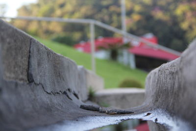 Close-up of railing against wall