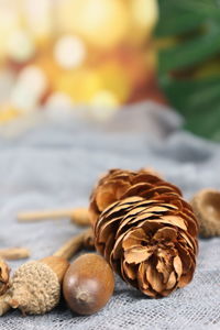 Close-up of cookies on table