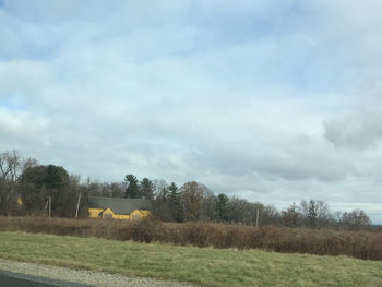 Trees on field against sky