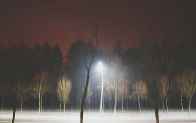 Trees against sky at night