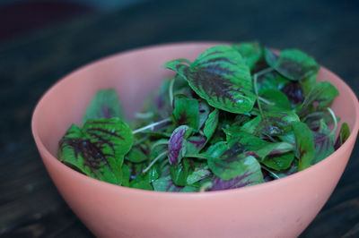 Close-up of salad in bowl