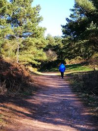 Rear view of man walking on road along trees
