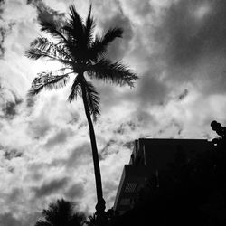 Low angle view of palm tree against storm clouds