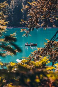 High angle view of autumn leaves floating on lake