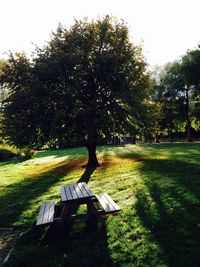 Empty bench in park