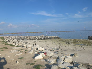 Scenic view of beach against sky