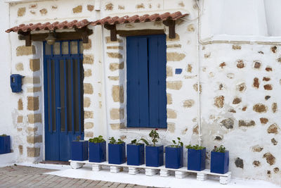 Potted plants by house in city